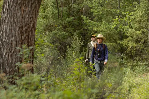 Two women hike through a dense forest.