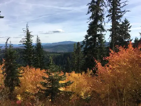 A scenic view of distant mountains, evergreen trees, and autumn foliage.