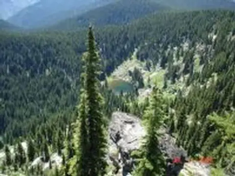 A high-angle view of a dense evergreen forest and a small lake.