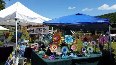 Vendor tents and displays set up outdoors in a grassy area.
