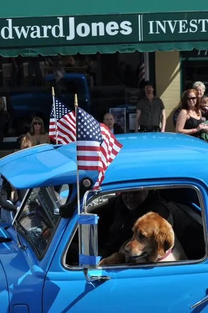A dog sits inside a blue car decorated with American flags.