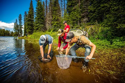 Three people fish with nets by a lake surrounded by forest.