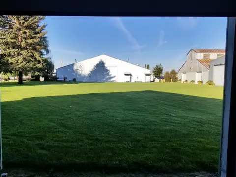 An exterior view of a large lawn and white buildings seen from a doorway.