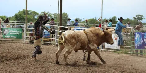 A cowboy is thrown from a bull at a rodeo.