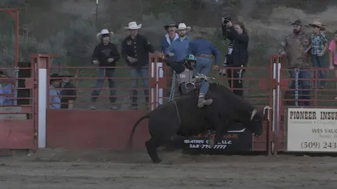 A bull rider rides a bucking bull in an arena with spectators watching from behind fences.