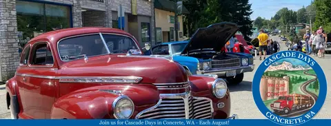 Classic cars parked on a street during a community event.