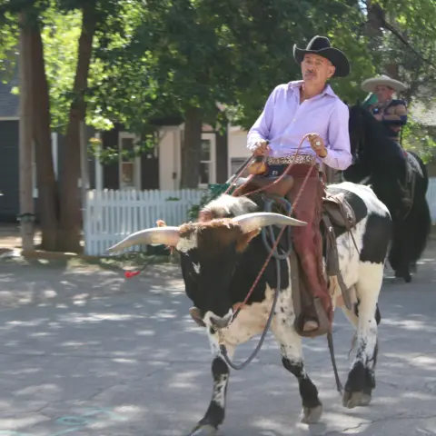 A man rides a longhorn steer down a street.