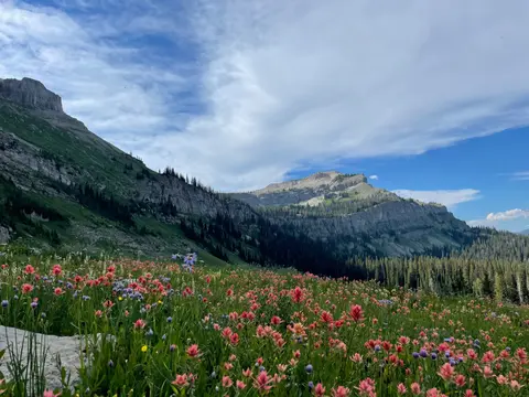 A vibrant meadow of wildflowers beneath towering mountain peaks and a cloudy blue sky.