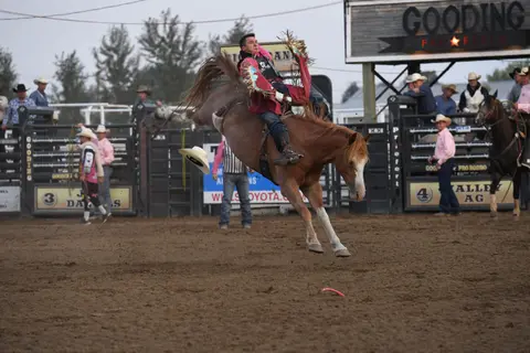 A cowboy rides a bucking horse at a rodeo arena.