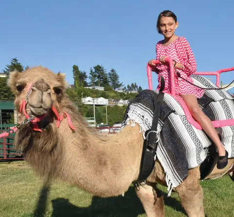 A young girl riding a camel outdoors.