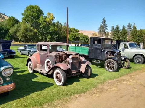 A collection of vintage cars and trucks parked on grass.