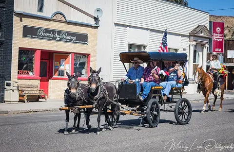 A carriage pulled by mules and people riding horses participate in a street parade.