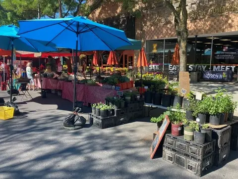 An outdoor street market with stalls, plants, and blue umbrellas.