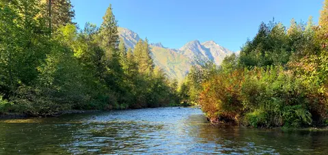 A wide river flowing through a forested landscape with mountains in the background.