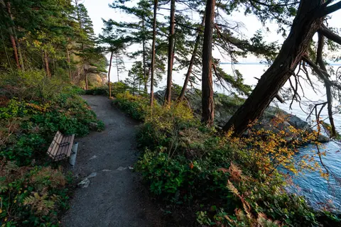 A scenic coastal trail winds through trees beside the water with a bench along the path.