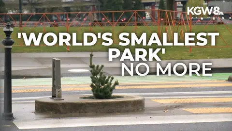 A small round planter in the street with text overlaid.
