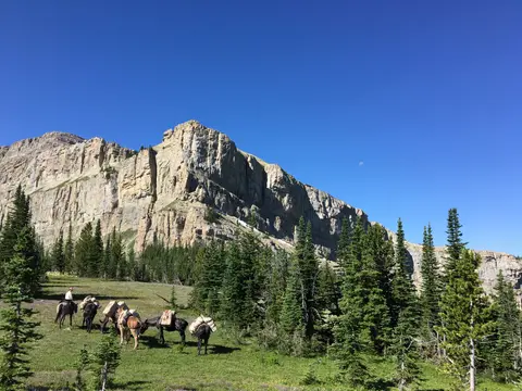 A group of pack horses and riders in a mountain landscape.