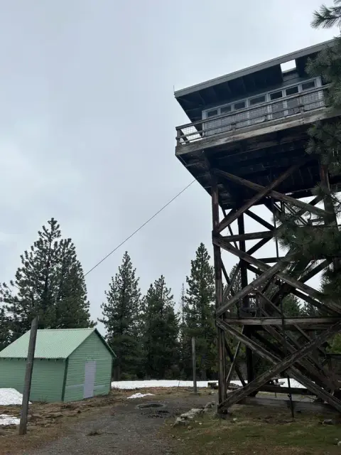 A tall wooden fire lookout tower stands next to a small green building among pine trees under an overcast sky.