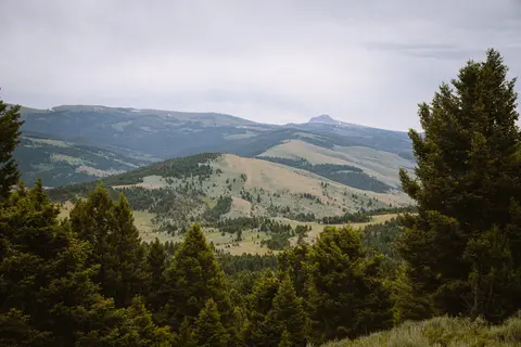 A view of rolling hills and mountains under an overcast sky, framed by evergreen trees.