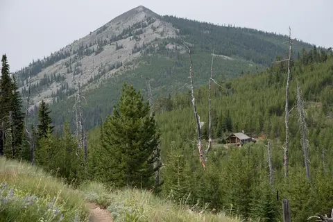 A small cabin sits in a pine forest beneath a large mountain.
