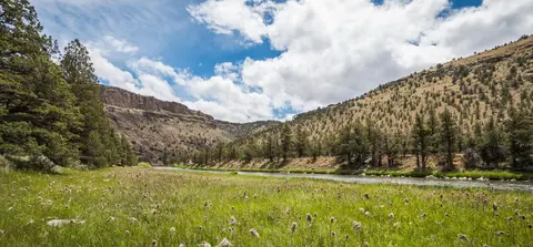 A river flows through a grassy valley surrounded by hills and trees.