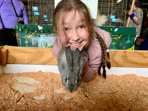 A smiling child holding a rabbit in an enclosure.