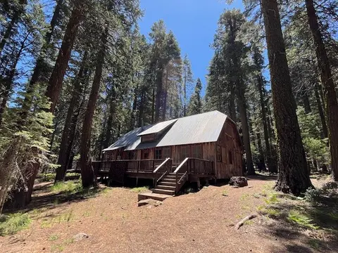 A rustic wooden cabin with a metal roof is surrounded by tall pine trees in a forest.