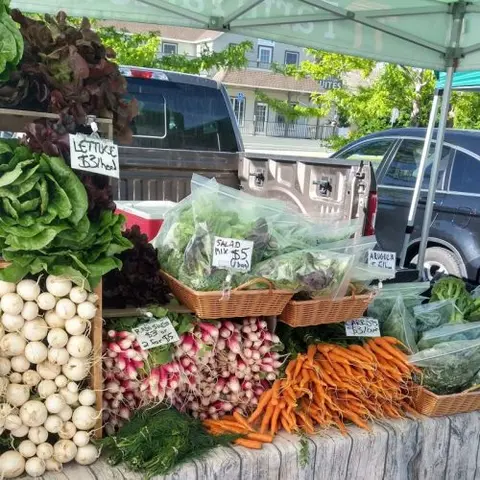 A display of fresh vegetables at an outdoor market stall.