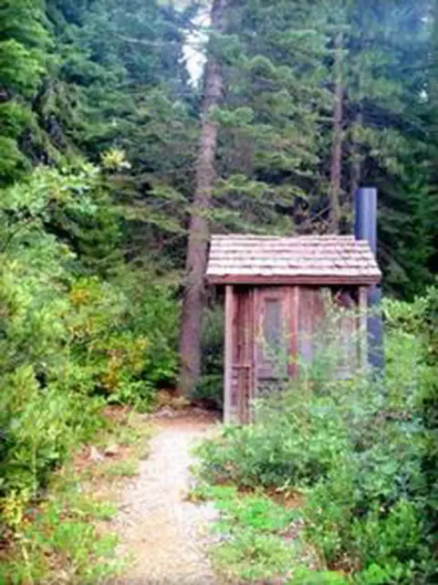 A small wooden outhouse stands along a trail in a dense forest.