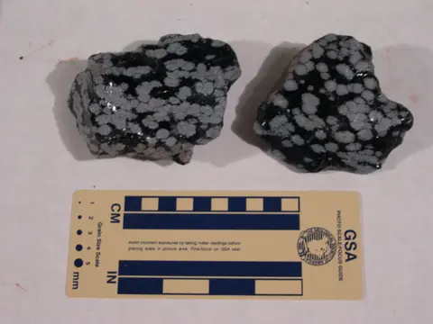 Two pieces of snowflake obsidian next to a scale card.