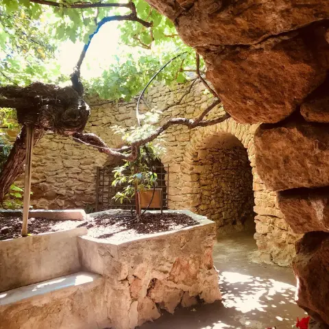 A stone courtyard with a tree and an arched structure.
