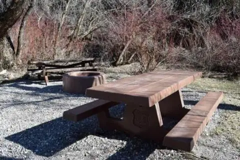 A picnic area with tables and a fire ring outdoors.