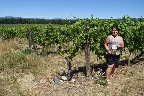 A person standing in a vineyard holding a brochure.