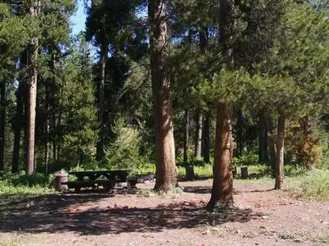 A picnic table sits in a forest clearing among tall trees.