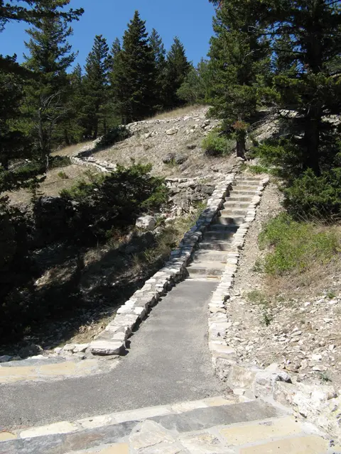 A stone staircase leads up a hill surrounded by trees and sparse vegetation.