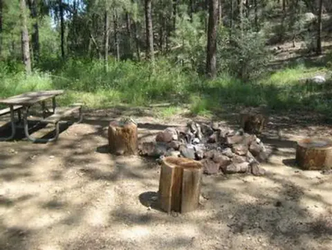 A campsite in a wooded area with a picnic table and fire ring.
