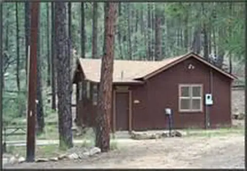 A small brown cabin nestled among tall pine trees.