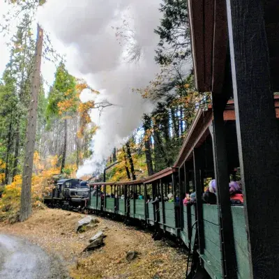 A steam train travels through a wooded area, releasing a large plume of white smoke.