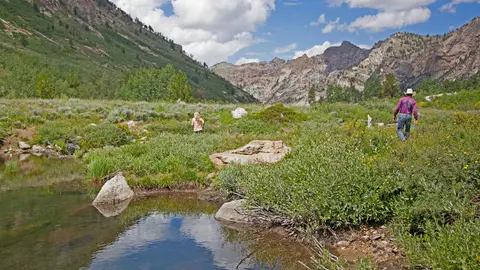 Two people walking through a scenic mountain valley near a small stream.