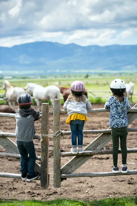 Three children wearing helmets lean on a wooden fence looking at horses in a field with mountains in the background.