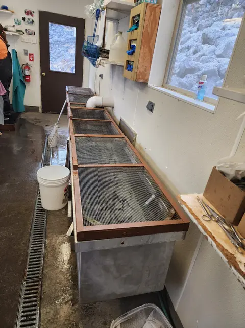 An interior view of a room featuring long tanks with mesh covers, a bucket, and windows showing a rocky landscape outside.