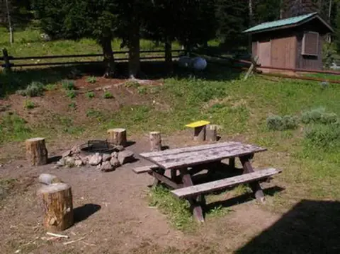 An outdoor campsite area with a picnic table, fire pit, tree stumps, and a small wooden structure.