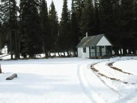 A small cabin sits in a snowy clearing surrounded by pine trees.