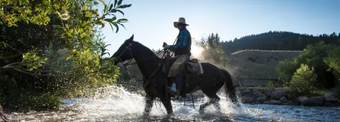 A person on a horse crossing a shallow river.