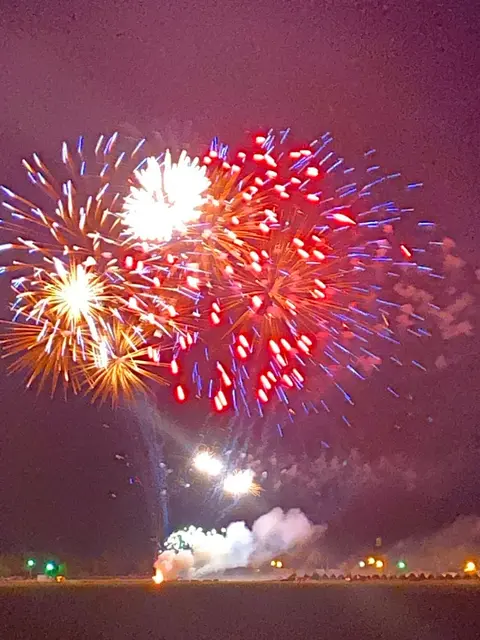 Fireworks bursting in the night sky above a dark horizon.