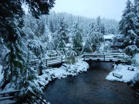 Snow-covered bridges over a stream in a wooded landscape.
