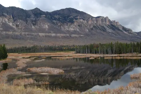 Landscape along Chief Joseph Scenic Byway.