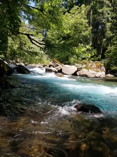 A river flows through a forest with rocks and trees.