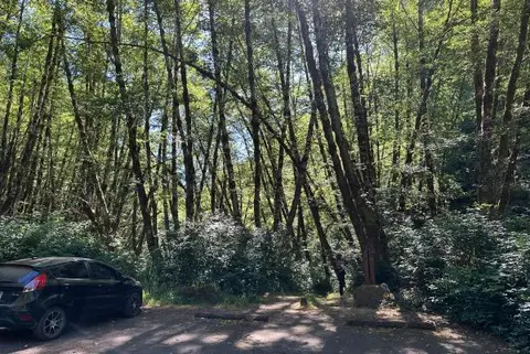 A car parked at a trailhead in a forest.