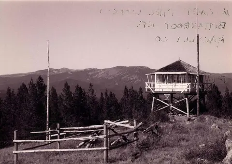A historic photograph showing a lookout tower on a forested mountain summit.